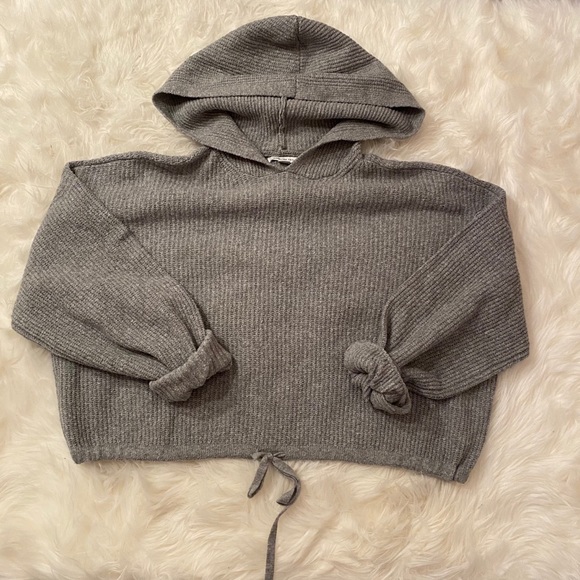 American Eagle Outfitters Sweaters - ⭐️HP⭐️ EUC hooded American Eagle Sweater